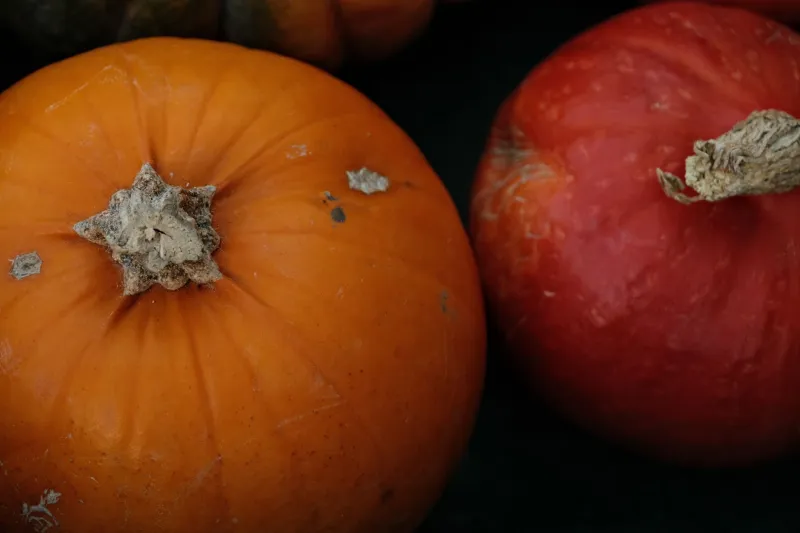From Hokkaido Soil to American Backyards: A Grower's Guide to Japanese Heirloom Vegetables