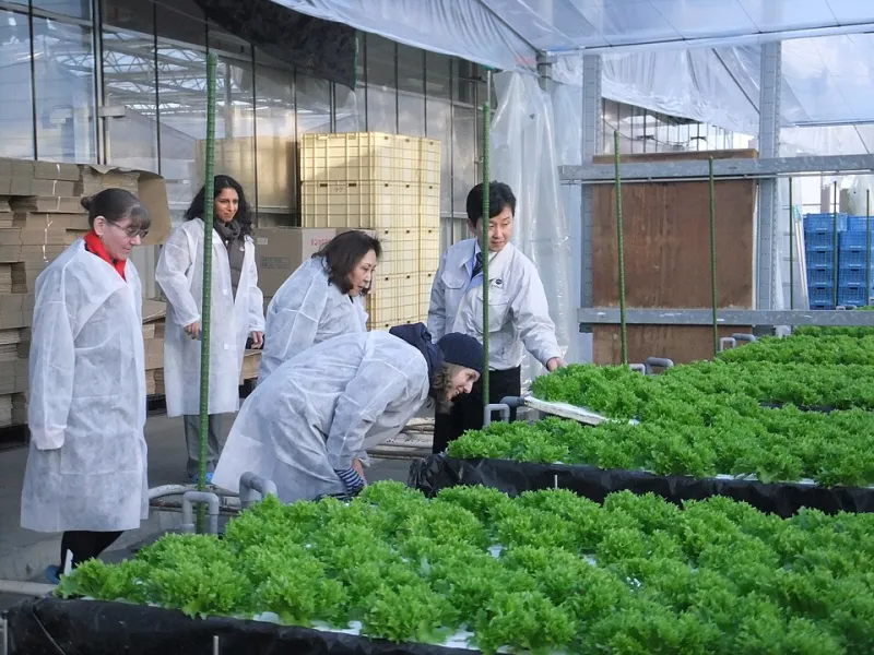 From Field to Pantry: Why Hokkaido's Potatoes, Corn, and Root Vegetables Are Setting a New Standard for American Specialty Foods